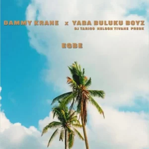Dammy Krane – Egbe Ft. Yaba Buluku Boyz, DJ Tarico, Preck & Nelson Tivane