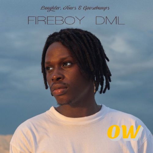 Fireboy DML - Vibration 1 Fireboy DML – Vibration - Featured Image
