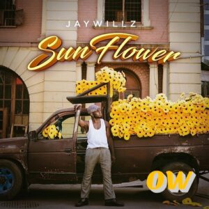Jaywillz – Skin Tight