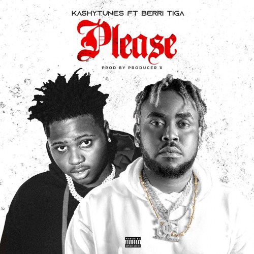 KashyTunes – Please Ft. Berri Tiga 1 KashyTunes – Please Ft. Berri Tiga - Featured Image