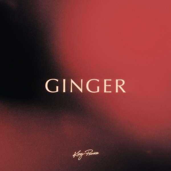 King Promise – Ginger - Featured Image