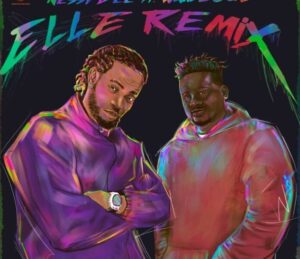 Nessy Bee – Elle (Remix) ft. Wande Coal