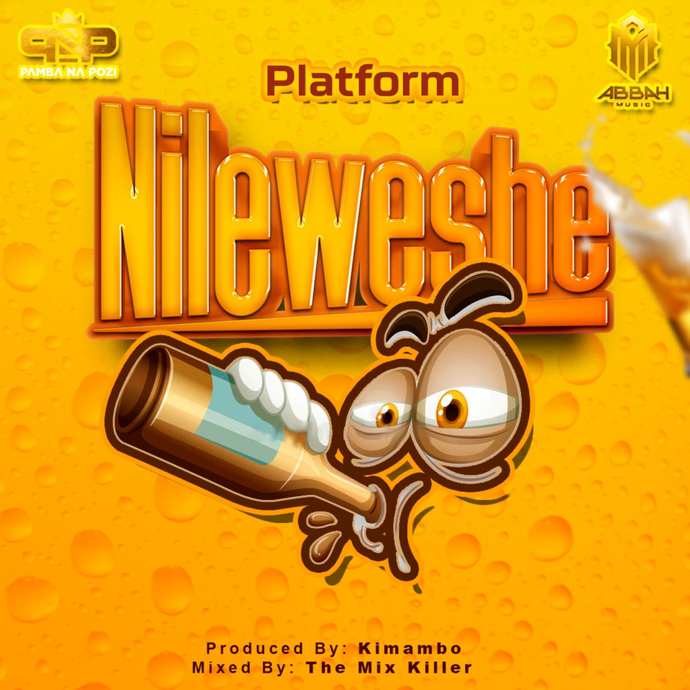 Platform Tz – Nileweshe 1 Platform Tz – Nileweshe - Featured Image