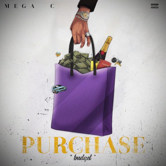 Mega C – Purchase (Budget) 1 Mega C – Purchase (Budget) - Featured Image