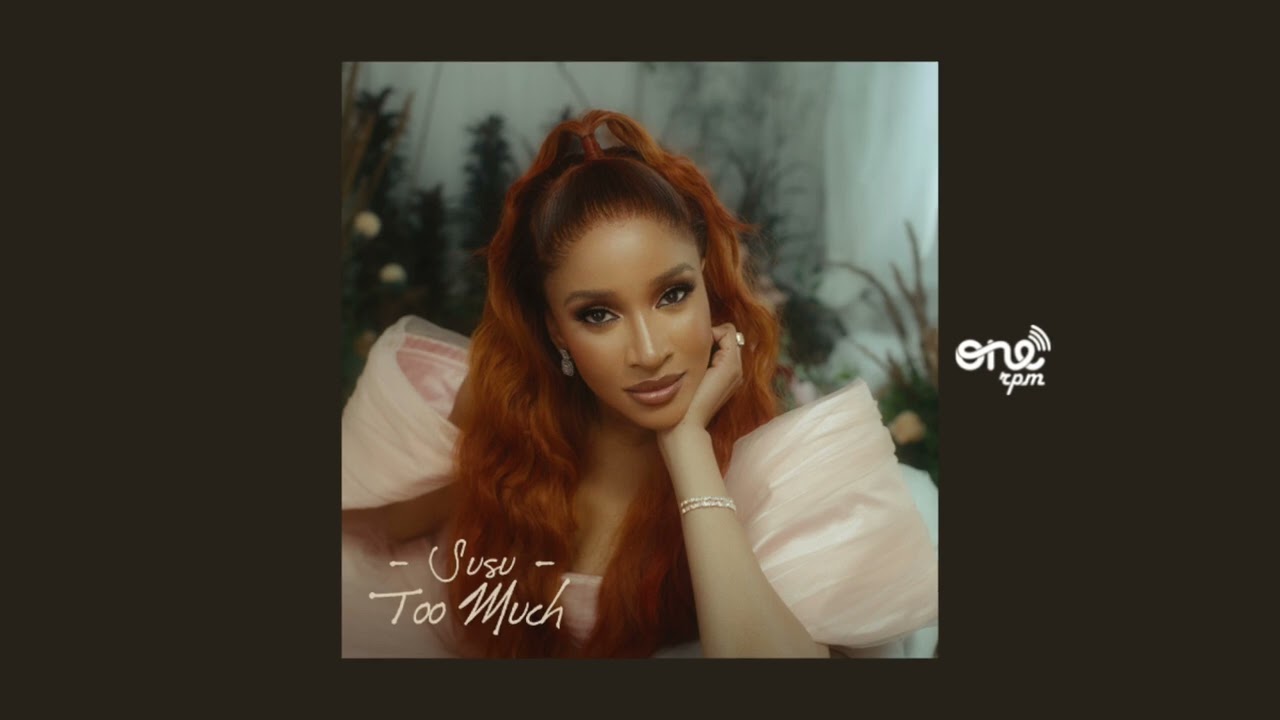 Susu – Too Much 2 Album cover