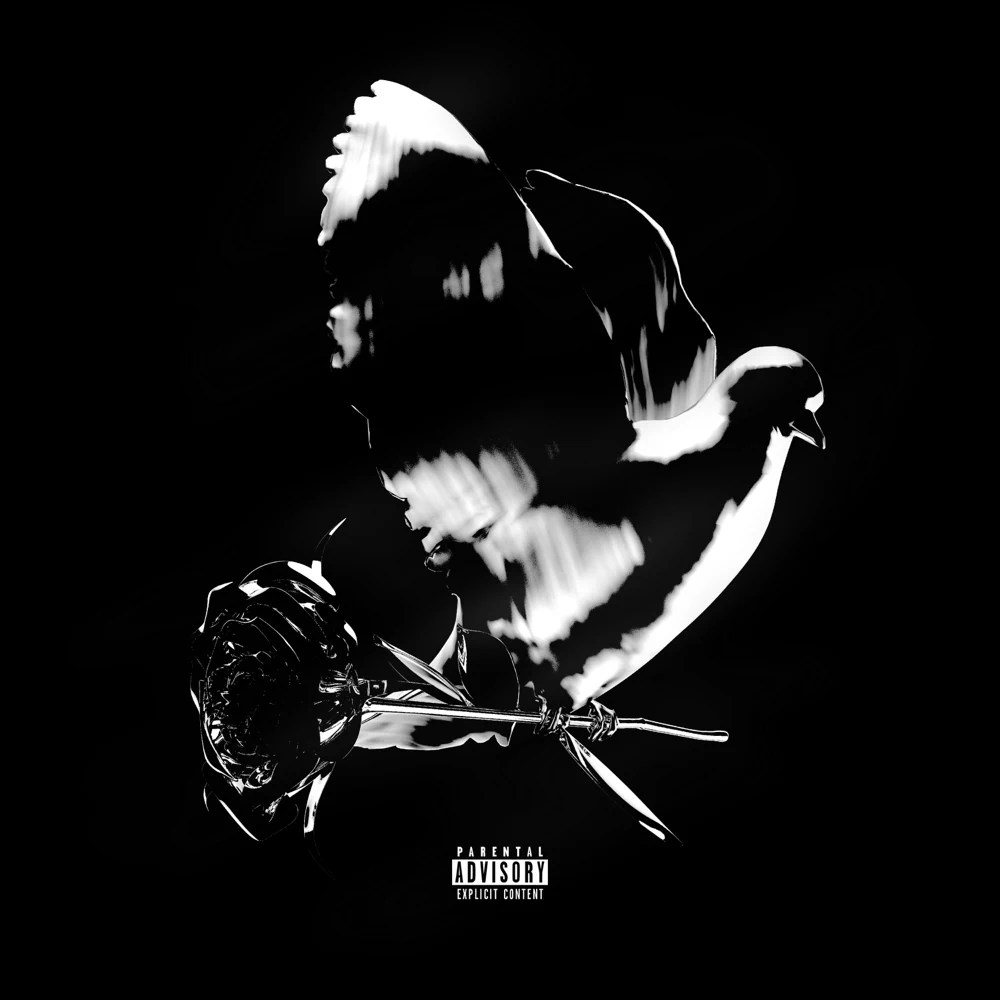 Pop Smoke Ft. Karol G – Enjoy Yourself - Featured Image