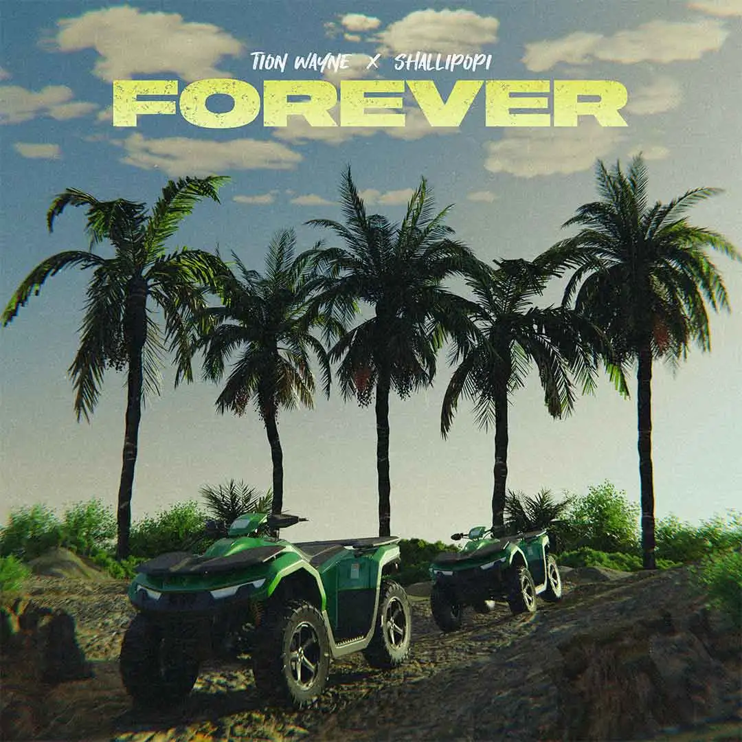 Tion Wayne – Forever Ft. Shallipopi 2 Album cover